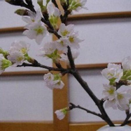 Wakaba Ryokan / Vacation STAY 29370 Sakata Eksteriør billede